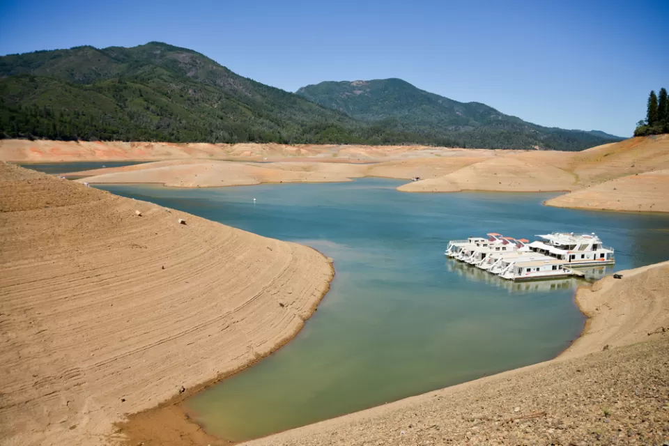 Shasta